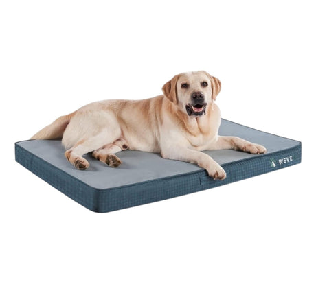 Orthopedic Dog Bed Jumbo Gel Memory Foam 2 Layer Washable Cover Waterproof Anti Slip - LNJ Liquidations